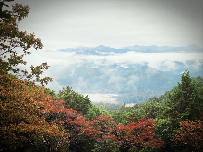 やっと行けたよ！谷瀬の吊り橋＆熊野古道・熊野三山　1日目