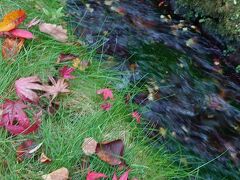 山梨忍野八海　富士山と紅葉の１Dayトリップ