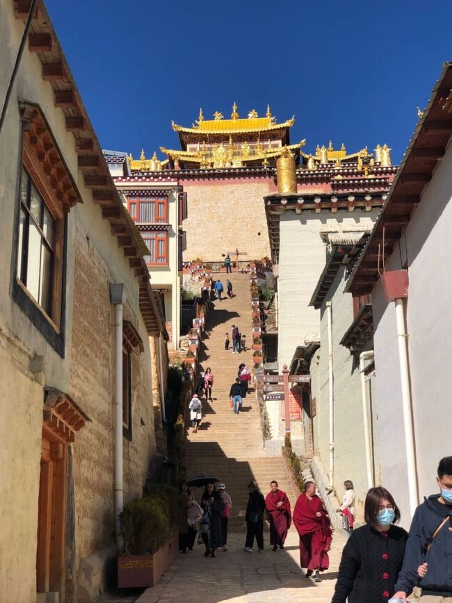 11月9日<br />チベット仏教の松賛林寺に行って来ました。<br />午後は、古城から歩いて行ける百鶏寺に向かうも…丘の上で遠い遠い。<br />8割ほど登った所に土で出来た昔の城壁の跡らしきものがありました。<br />そこからは、シャングリラの街が一望！<br />すると、突然藪から子連れの馬が現れ接近してくる。<br />4頭も！<br />周囲は崖ですから、馬を刺激しないように、じっとしてやり過ごし、なんとか街に戻りました。<br />なんで、放し飼いにしてるの…<br />こんなとこまで来た、こっちが悪いのか…<br /><br />【 旅程 】<br />11/5 長沙→(沧源)→麗江/14:30 →(束河古鎮)<br />11/6 核酸検査、束河, 白砂古鎮 - (束河古鎮)<br />11/7 玉龍雪山 ----------------- (束河古鎮)<br />11/8 麗江 → 4香格里拉 ------- (香格里拉)<br />■11/9 香格里拉 --------------- (香格里拉)<br />11/10 香格里拉 → 4麗江古城 --(麗江古城)<br />11/11 茶馬古道 乗馬トレック---(麗江古城)<br />11/12 麗江 → 3沙渓古鎮 ------- (沙渓古鎮)<br />11/13 沙渓古鎮 ----------------- (沙渓古鎮)<br />11/14 沙渓古鎮 ----------------- (沙渓古鎮)<br />11/15 沙渓→洱源→大理古城 (大理古城)<br />11/16 大理古城 → 和順古鎮 (和順古鎮)<br />11/17 和順古鎮 ----------------- (和順古鎮)<br />11/18 熱海温泉・銀杏村 ----- (和順古鎮)<br />11/19 和順古鎮 ----------------- (和順古鎮)<br />11/20 和順古鎮 ----------------- (和順古鎮)<br />11/21 瑞麗 ----------------------- (瑞麗)<br />11/22 一寨两国,畹町橋,口岸 (瑞麗)<br />11/23 →芒市→長沙<br /><br />【雲南古鎮游→ミャンマー国境】①（長沙→麗江）麗江でPCR検査を受けることに。。<br />https://4travel.jp/travelogue/11656749<br /><br />【雲南古鎮游→ミャンマー国境】② [麗江でPCR(核酸)検査を受ける]<br />https://4travel.jp/travelogue/11658435<br /><br />【雲南古鎮游→ミャンマー国境】③（白沙古鎮）～PCR(核酸)検査の結果判明！<br />https://4travel.jp/travelogue/11658489<br /><br />【雲南古鎮游→ミャンマー国境】④ [玉龍雪山 ４６８０ｍ 到達！！］<br />https://4travel.jp/travelogue/11658779<br /><br />【雲南古鎮游→ミャンマー国境】⑤（束河古鎮）<br />https://4travel.jp/travelogue/11659388<br /><br />【雲南古鎮游→ミャンマー国境】⑥ [シャングリラ1日目…大佛寺の巨大マニ車、独克宗古城は閑散]<br />https://4travel.jp/travelogue/11659635<br /><br />【雲南古鎮游→ミャンマー国境】⑦［シャングリラ2日目…松賛林寺]<br />https://4travel.jp/travelogue/11659720<br /><br />【雲南古鎮游→ミャンマー国境】⑧［麗江古城～茶馬古道 乗馬トレッキング］<br />https://4travel.jp/travelogue/11659803<br /><br />【雲南古鎮游→ミャンマー国境】⑨ [ 沙渓古鎮 ]<br />https://4travel.jp/travelogue/11659807<br /><br />【雲南古鎮游→ミャンマー国境】⑩ [静かで閑かでしずかな白族の村：沙渓古鎮(2)<br />https://4travel.jp/travelogue/11659812<br /><br />【雲南古鎮游→ミャンマー国境】⑪ [逃げろ！ こんなとこ！大理古城から和順古鎮］<br />https://4travel.jp/travelogue/11659809<br /><br />【雲南古鎮游→ミャンマー国境】⑫ [熱海温泉～銀杏村：和順古鎮]<br />https://4travel.jp/travelogue/11661419<br /><br />【雲南古鎮游→ミャンマー国境】⑬ [京都にいるような～和順古鎮]<br />https://4travel.jp/travelogue/11659810<br /><br />【雲南古鎮游→ミャンマー国境】⑭ [国境は…テーマパークに］<br />https://4travel.jp/travelogue/11662921<br /><br />【雲南古鎮游→ミャンマー国境】⑮ [国境には壁…川はもう渡れない...]<br />https://4travel.jp/travelogue/11663555<br />