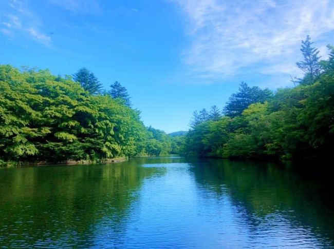 梅雨の中休みで晴れ上がったこの日、軽井沢までちょっくら小旅に行ってまいりました。今回は南軽井沢エリアで、都会よりも涼しく気持ちいい夏の里山感を堪能。町内循環バスを駆使しましたが、なかでも軽井沢発地市庭（いちば）と風越公園の間は、一体何往復したことやら。2度会った運転手さんもいたなぁ。<br />風越公園内のスカップ軽井沢の室内プールでは、新型コロナウィルス感染防止対策から入場制限していて、予定の時間に入れず別の時間にずらしたり、ランチに狙っていた和食屋さんが激混みで、入店を諦めざるを得なかったりもしましたが、安定の美しさの雲場池、初訪問の軽井沢レイクガーデンの素晴らしい庭園、〆の旦念亭のアイスコーヒーとかぼちゃケーキに救われました。