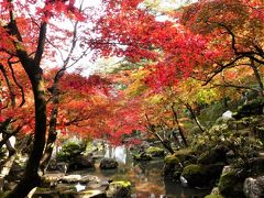 「徳明園」の紅葉_2020_色付きはじめ、紅葉進行中です（群馬県・高崎市）