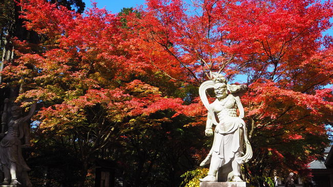 テレビで見てたら篠栗町の呑山観音寺の紅葉が早くも見頃とのことで早速行ってきました。<br /><br />特にコメントはないので紅葉をご覧ください。