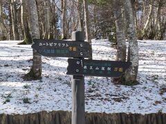 2020秋の東北15：蔵王の雪だるま