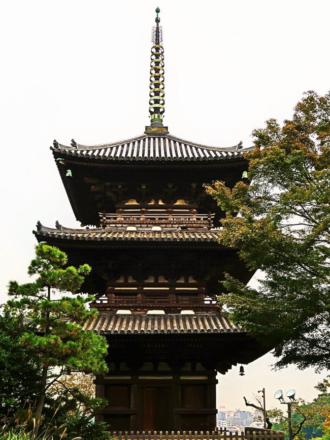 旧燈明寺三重塔<br />室町時代1457年（康正3年）の建築。京都府相楽郡加茂町（現・木津川市）より1914年に移築。<br /><br />三溪園（さんけいえん）は、神奈川県横浜市中区にある庭園。17.5haの敷地に17棟の日本建築が配置されている。実業家で茶人の原富太郎によって1906年に造園された。名称の三溪園は原の号である三溪から。<br />1953年（昭和28年）に財団法人三溪園保勝会が設立され、再び庭園の整備を行い、今日に至っている。2006年11月17日に国の名勝に指定された。横浜市公式サイトなど新字体で三渓園と表記することも多い。 <br /><br />三溪園は、国の重要文化財建造物10件12棟（移築元：京都府5棟、和歌山県3棟、神奈川県2棟、岐阜県1棟、東京都1棟）、横浜市指定有形文化財建造物3棟を含め、17棟の建築物を有する。三溪園の土地は、原富太郎三渓の養祖父である原善三郎が1868年（明治元年）頃に購入したものである。単に各地の建物を寄せ集めただけではなく、広大な敷地の起伏を生かし、庭園との調和を考慮した配置になっている。園内にある国の重要文化財建造物10件12棟は、全て京都など他都市から移築した古建築である。<br />原富太郎は岐阜県出身の実業家で、横浜の原商店に養子として入り、生糸貿易で財を成した。原は事業のかたわら仏画、茶道具などの古美術に関心を持って収集した。平安時代仏画の代表作である『孔雀明王像』（国宝、東京国立博物館蔵）をはじめ、国宝級の美術品を多数所蔵し、日本の美術コレクターとしては、益田孝（鈍翁）と並び称される存在であった。彼は古美術品のみならず、室町時代の燈明寺にあった三重塔をはじめとする京都ほか各地の古建築を購入して移築。庭園も含めて整備を進めていった。1906年（明治39年）5月1日に市民へ公開し、その後も建造物の移築は続けられた。 毎年、観梅会、観桜の夕べ、蛍の夕べなどの季節に応じた催物を開催している。 <br />（フリー百科事典『ウィキペディア（Wikipedia）』より引用）<br /><br />三渓園　については・・<br />https://www.sankeien.or.jp/<br />https://www.welcome.city.yokohama.jp/spot/details.php?bbid=87<br />https://traveltoku.com/sankeien/<br />