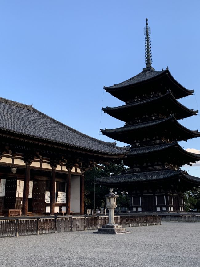 go toトラベルを利用してびっくりするくらいお得に奈良まで大人女子旅。<br /><br />少しだけ紅葉も見ることができ、お天気にも恵まれ、なかなか充実した1泊2日でした。<br /><br />感染対策に気をつけて大人女子3人組で行ってきます!