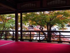 紅葉狩りに京都西山の楊谷寺へ