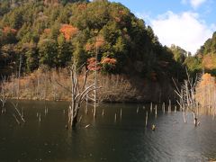 地震が作り出した天然の自然遺産自然湖＆唐沢の滝＆木曽馬の故郷開田高原♪