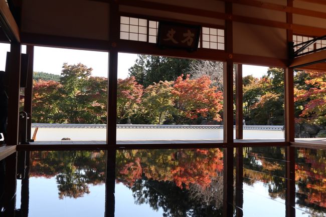 宝徳寺 群馬県 のリフレクションの景色 床に映りこんだもう一つの世界 桐生 群馬県 の旅行記 ブログ By Comodoさん フォートラベル