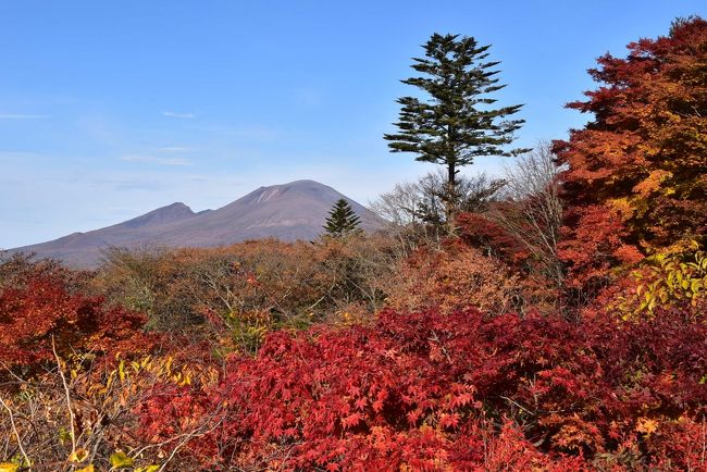 旧碓氷峠の見晴台は標高1,200mの「サンセットポイント」の名で知られ、妙義山、南アルプス、八ヶ岳、北アルプス、浅間山など、素晴らしい眺望が楽しめます。<br />近くにある神社は、群馬県・長野県の県境にあるため、2つの神社「熊野神社」と「熊野皇大神社」に分かれています。<br />御朱印、御神木のハート穴も人気のスポットです。<br /><br />見晴台から旧軽井沢までの「旧碓氷峠遊覧歩道」をはじめ、見晴台、旧軽井沢などは鮮やかな紅葉がちょうど見頃です。<br /><br />NHKのニュースで紹介された軽井沢の紅葉をきっかけとして訪れます。<br /><br />なお、旅行記は下記資料を参考にしました。<br />・軽井沢観光協会「ウェルネスリゾート軽井沢観光マップ」<br />・軽井沢ナビ「スマフラフェス in 軽井沢」<br />・軽井沢碓氷峠「熊野皇大神社」資料<br />・現地案内板「見晴台」「熊野神社」<br />・るるぶ &amp; more.「二手橋」<br />・日本マンホール蓋学会「軽井沢町のマンホール」<br />・軽井沢交通バス「軽井沢赤バス」<br />・しなの鉄道「懐かしくて新しい軽井沢駅」<br />