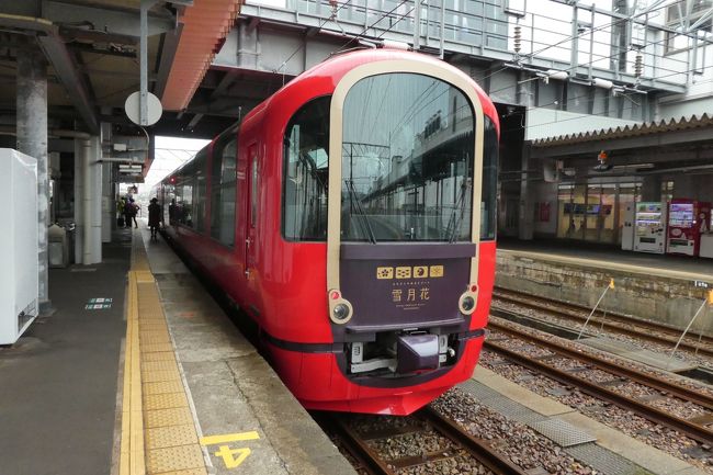 どこでもドアきっぷで行く北陸の旅【1】雨の北陸の過ごし方の前半はちょこっと新潟へ。雪月花に逢いにいきます。