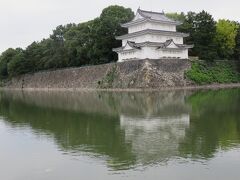 2020秋、名古屋城と名城公園(3/4)：名古屋城(2)：お堀、コブ白鳥、天守、キンクロハジロ