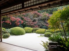 20201112-1 京都 秋の一乗寺散歩其の一、詩仙堂