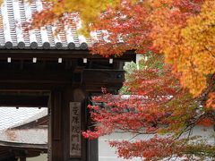 20201112-3 京都 秋の一乗寺散歩其の三、曼殊院門跡