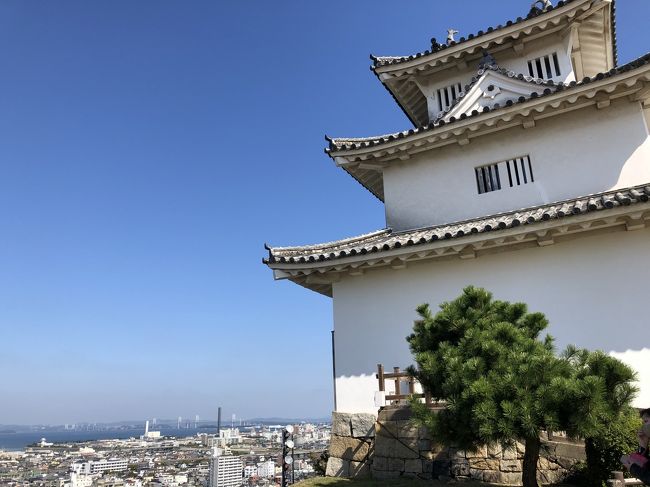 淡路島に行ってみたいなー、でも車ないと不便だなあ、と思っていたら、なんと虎キチお岩さんから、大阪発で淡路島ドライブに連れてってくれるとの提案が。ありがたく乗っからせていただくことにしました。週末に、子供たち＆Marielさんと伊丹から淡路島を経由し、高松泊、翌日丸亀を観光して高松から帰京しました。<br /><br />初めての淡路島、お花と玉ねぎがいっぱいで、楽しいところでした。<br /><br />虎キチお岩さん<br />https://4travel.jp/traveler/tomokomokomoko<br /><br />Marielさん<br />https://4travel.jp/traveler/ayamariel