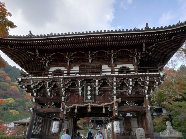 秋の大原野を歩きました。<br />JR向日町駅から阪急バス善峯寺行きで終点まで。三鈷寺,大原野神社、勝持寺 樫原廃寺跡、革島神社を経由して下山しJR向日町駅に戻る予定でしたが、吉峰神社の見所が多く大半の時間を使ってしまいました。三鈷寺 大原野神社に立ち寄っただけのコースとなりました。<br /><br />吉峰山には別途入館料要りますが片岡鶴太郎さんの鯉の絵の展示館も有るそうです。<br />