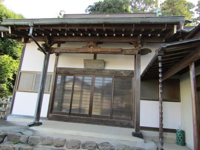 　横浜市戸塚区舞岡町にある圓福寺（https://4travel.jp/travelogue/10544102）は浄土宗のお寺で天龍山圓福寺という。開山は分受で、天正年間（1573年～1593年）に創建された。元禄年間（1688年～1704年）には本堂の他に観音堂を備え、ここの観世音菩薩像は立像（長六寸）の十一面観音で、恵心作と伝え、鎌倉三十三霊場20番だったという。<br />　数年振りに圓福寺を訪れた。<br />　前回は門前に鎮座する中央の石仏（寛文13年（1673）銘）を庚申塔としていたが、今日、台座を見ても三猿は見られなかった。門前には石仏と2体躯のお地蔵さまと2基の五輪塔と宝篋印塔を祀っているのだろう。しかし、驚いたことに門柱脇に庚申塔（元禄8年（1695年）銘））と割れた双体道祖神が祀られている。これは舞岡町の常玄寺と円福寺の間の十字路（円福寺側）にあったもの（https://4travel.jp/travelogue/10552432）を移設したのであろう。<br />　境内に聳えていたヒムロの木は根本から伐採され、枝を払われた銀杏の木だけになっていた。<br />（表紙写真は圓福寺本堂）