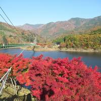 栃木県、紅葉と温泉を楽しむ②