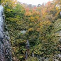 1泊2日 西丹沢 御殿場 河口湖紅葉巡り その1 西丹沢渓谷本棚ハイキング