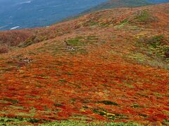 東北山岳紅葉　②栗駒山「神の絨毯」