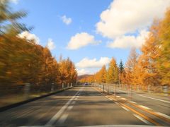 晩秋の北海道・道東（知床、根室、釧路）の旅　７－６　　釧路　編