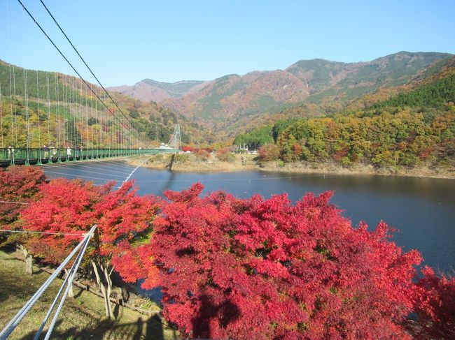 栃木県へ、紅葉と温泉を楽しむ２泊３日のドライブ旅行です。<br /><br />１日目・・・生姜ミュージアムとバンダイおもちゃミュージアムを見学後、那須で宿泊。<br /><br />２日目・・・那須の紅葉の名所を巡り、山奥の湯西川温泉へ移動して宿泊。