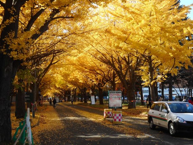 北海道3日目です。<br /><br />定山渓をあとに天気は快晴！！　ホテルのチェックインの時間までは十分あるので効率よく札幌観光に行きました♪<br /><br />この時札幌はコロナの第3波の兆し。密にならない様、意識して行動しましたが・・。<br /><br />そして今回の宿泊先は『プレミアホテル中島公園札幌』最上階のプレミアフロアを予約。お値段以上のお得感のあるホテルでした。<br />そして今回の旅の最終目的『ミシュラン三ツ星レストラン』でのディナーで最後の夜を締めくくります。<br /><br />皆さまの参考になれば幸いです。