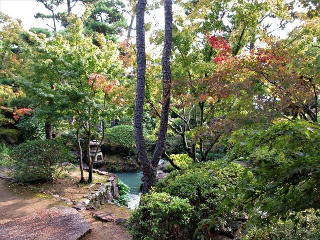 3日目は一人で倉敷の美観地区を散歩しました。<br /><br /> 美観地区を歩いたあとは、ちょっと珈琲タイム。<br />それから、大原美術館周りをの歩き、大原家別邸であった新渓園に寄ってみました。<br /><br /> 一部2日目の写真も入っています。