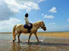石垣島女子ひとり旅④全日空ホテル石垣島のビーチと海ん馬を楽しむ。