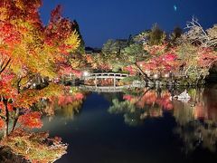 紅葉を求めて...花手水が綺麗な勝林寺からライトアップされた永観堂へ♪