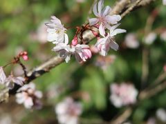 城峯公園(栃木県神川町）へ・・・