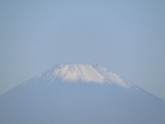 鋼管団地から見る富士山