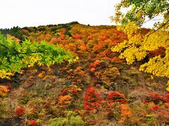 2020紅葉　南飛騨～益田街道から馬瀬街道への紅葉の旅（2）