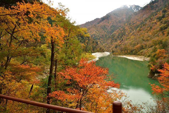 11月に紅葉狩りという事で、宇奈月温泉に行きました<br /><br />この時期、宇奈月温泉に宿泊される方はほぼ100％,黒部峡谷のトロッコ電車が目当てだと思います<br /><br />小柄な、トロッコに乗って、宇奈月から終点の欅平まで行きます<br />本旅行記はここまで<br /><br />黒部峡谷鉄道　トロッコ電車とは<br />もともとは、黒部川の電源開発のための資材運搬用鉄道<br /><br />軌間762mmの特殊狭軌による鉄道路線で、トロッコ電車を運行している。<br /><br />そのため車両寸法が小さく、機関車は通常2両連結の重連で運用される。<br /><br />現在でも旅客列車は電気機関車牽引の客車列車で運行されている。<br /><br /><br />