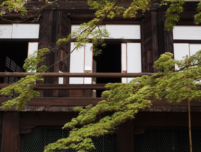 2019年の春、京都と奈良のひとり旅。<br />京都ではいよいよ（やっと）洛陽三十三観音霊場の結願しました。<br /><br />そして今回は、御陵印をいただきに御陵監区事務所を回ります。<br />奈良では西国三十三観音霊場の札所巡りと、丹生上川神社三社を回りました。<br />
