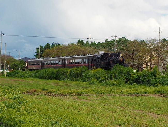 真岡の神社へ参拝したので、土日に運航してる真岡鉄道のＳＬも走ってると思い、ＳＬが撮れるスポットへ時間を合わせて待機して撮ってきました。<br /><br />桜の時期でもないので、撮り鉄さんたちは誰もいませんでした<br />近場の出かけた記録としたレポなので気が向いたら見てくださいな。