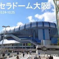 2020秋　関西・大阪 京セラドーム大阪遠征記　〈第１幕〉【１日目：野球観戦編】