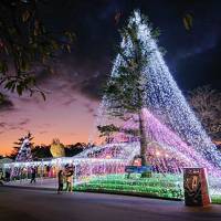 1泊2日 西丹沢 御殿場 河口湖紅葉巡り その2 御殿場高原ホテル時之栖宿泊編