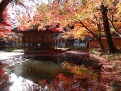 紅葉真っ盛り！レンタサイクルで平泉を回り厳美渓散策