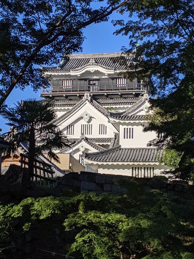 11月の晴れわたった空の下<br />家康公ゆかりの岡崎城と大樹寺に行ってまいりました<br /><br />松平家、徳川家の歴史を堪能しようと小学校時代からの親友で大の歴史好きのＴくんとともに岡崎市を散策します