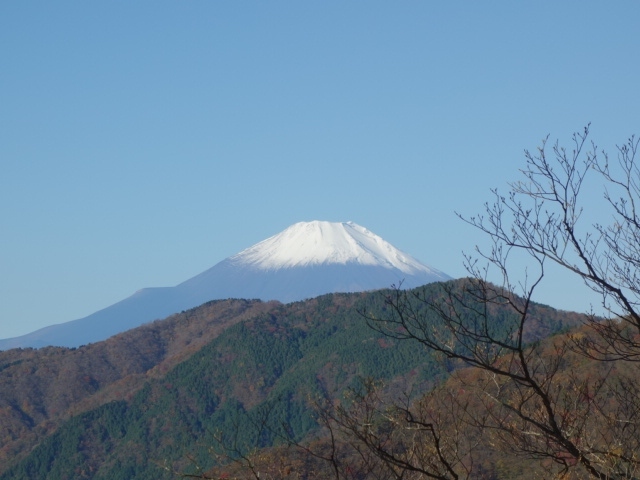 　晴天。これ以上ないというお天気の中、山登りをすることが出来ました。延々と続く階段、コースタイムよりだいぶ遅れての我々のペース。9時過ぎには、大倉バス停7時発の女性の方に追い抜かれました。スタートから塔ノ岳山頂到着までの間、追い抜かれ人数は過去最大を記録したんじゃないでしょうか。でも、人は人、自分は自分と言い聞かせ、心が折れそうな中頑張った甲斐がありました。<br />　さてこの日、秦野の旅館で3時起床。大倉バス停には真っ暗の5時前に到着。「時間切れ、チーン」を恐れるがあまり、早出に至ったのです。結局はそれが正解でした。上り5時間40分。下り4時間10分。頂上休憩30分。トータル10時間20分。なんとか丹沢山山頂までたどり着くことが出来てよかったです。<br />　丹沢山山頂から塔ノ岳山頂へ向かっている時に、朝我々を追い抜いていった若いスポーツレディーさんがまた我々を追い抜いていきました。私から、「またまたこんにちは。」とあいさつすると、この方「朝も会いましたね。」この方、千葉県からわざわざここまで来て山登りというか山走りされているそうです。この方、「今日はスタートがゆっくりだったので、大倉から蛭のピストン。なので今日は楽ちん。朝が早い時には、蛭までいって丹沢、塔ノ岳、そして大山通ってなんとかかんとか。これは結構キツイのよ。」話がはずんでいろいろお話、聞かせてもらいました。私、大倉バス停に戻って、大山ってどこにあるか確認。丹沢・塔ノ岳から相当離れてる！ええー！そこまで！びっくりしました！可愛いまるーいお顔されていたスポーツレディさん。することは凄まじい！仰天！<br />　帰りの登山道で、2時間ほどずーと同じペースで歩いている女性の方とお話する機会がありました。天気の話しをしていると、この方「塔ノ岳にはよく登りにくるのよ。普通は海のほうは見えても富士山は見えない時が多いのよ。」「私、大倉尾根が嫌なので鍋割山の方から来たの。そっち側に駐車場があってゲートのところまでタクシーで行って、そこから7時に出発したの。割と細い道なのよ。でも大倉から出発するよりこっちの方が楽。」お会いする方々といろいろ話をしているといろいろな情報が入ってきて楽しかったです。<br />　登山を終え、この日の宿泊地である小田原鴨宮に移動。晩ごはんはホテル近くにある「秀」さんに行きました。壁に富士山の絵の額があり、私から、「今日、丹沢山登りしてきたんですけど、富士山がこんな感じで見えましたよ。」と切り出すと、後は、秀のご主人さんとぺちゃくちゃよくお話させていただきました。小田原からも富士山はよく見えるそうです。最後は、玄関まで見送って下さり、「また来てくださいね。」ご飯は刺身定食。美味しかったし、楽しかった。「また来ます！」と約束してしまいました。<br />　自宅に帰り着いてから日本三百名山の地図をガン見。三百名山に「大山」発見。また、小田原鴨宮に行く理由が出来ました！<br />　丹沢山。キツかったけど、いろいろ人と出会え楽しかったです。思い出に残る丹沢山となりました！