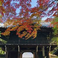 GoToトラベルで京の紅葉と『京都山科 ホテル山楽』ステイ♪
