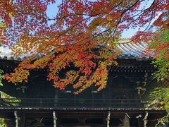 GoToトラベルで京の紅葉と『京都山科 ホテル山楽』ステイ♪