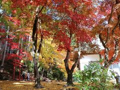 ちょっと早いけれど丹波･篠山の紅葉巡りに出かけて来ました