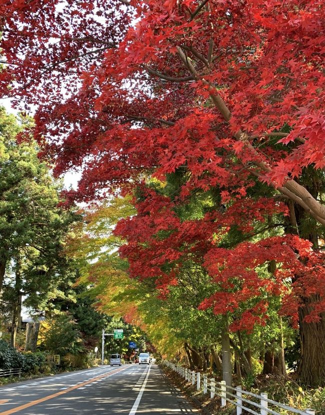 GoToキャンぺ－ンに乗っかり、紅葉の過ぎた奥日光へ