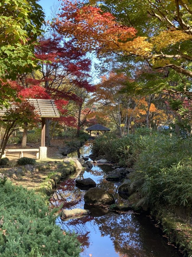 水戸は何度も訪れている地であり、学生時代を過ごした思い出大きい場所です。<br />偕楽園や弘道館はお馴染みでしたが、近年 新たな施設が次々と建設されていますので、そこを中心にして 未訪問だった場所も含め、自身の初体験ルートを回ってきました。