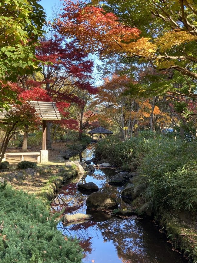 水戸は何度も訪れている地であり、学生時代を過ごした思い出大きい場所です。<br />偕楽園や弘道館はお馴染みでしたが、近年　新たな施設が次々と建設されていますので、そこを中心にして　未訪問だった場所も含め、自身の初体験ルートを回ってきました。