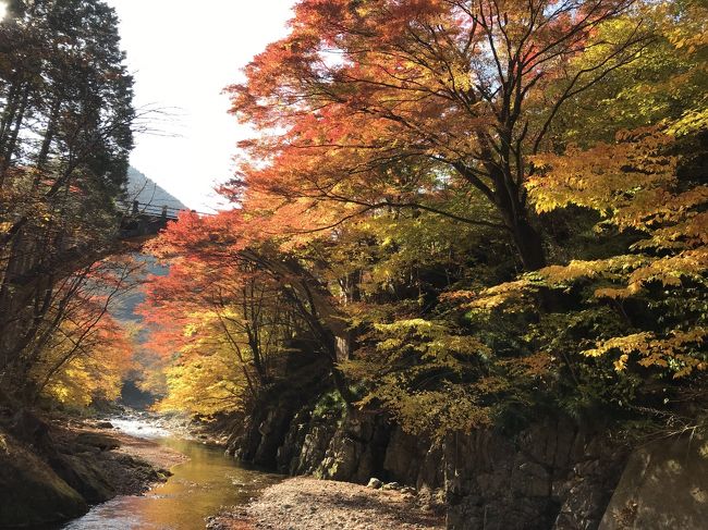 今年は台風の影響があまりなかったため、紅葉が綺麗だそうな<br /><br />1週間前がピークだったらしいが…少しの望みで出かけてきました。<br /><br /><br />大芦渓谷 白井平橋<br />　　　栃木県鹿沼市草久1892<br /><br />古峰原金剛山瑞峯寺<br />　　　栃木県鹿沼市草久2239　<br /><br />古峯神社<br />        栃木県鹿沼市草久3027<br /><br />深山巴の宿<br />       栃木県鹿沼市草久５０７６－１<br />        　　