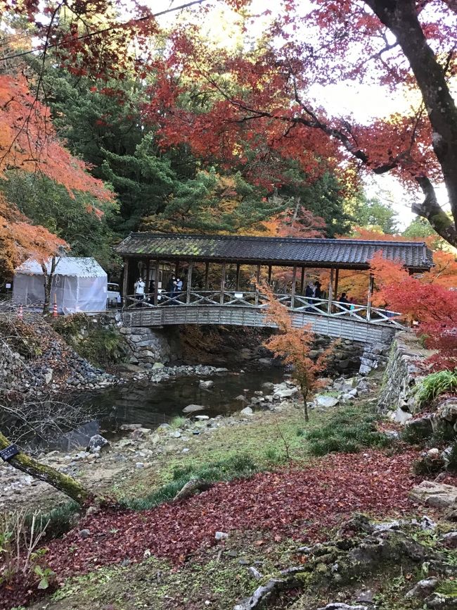 お天気が良いので<br />　ふらっと一人で　見頃になった三原の佛通寺に<br />紅葉狩りにお出かけしました