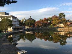 秋の奈良・京都　初めての正倉院展