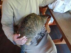 秋の長野で日本酒と温泉に溺れるの巻～第４日目～鹿教湯温泉・三水館で連泊～